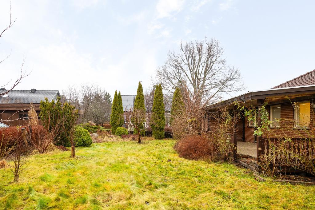 Trädgård på husets baksida