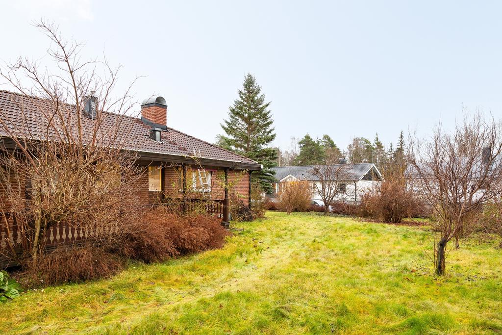 Trädgård på husets baksida