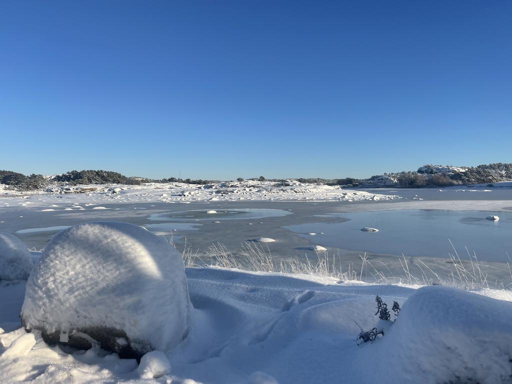 Miljöbild Havstenssund