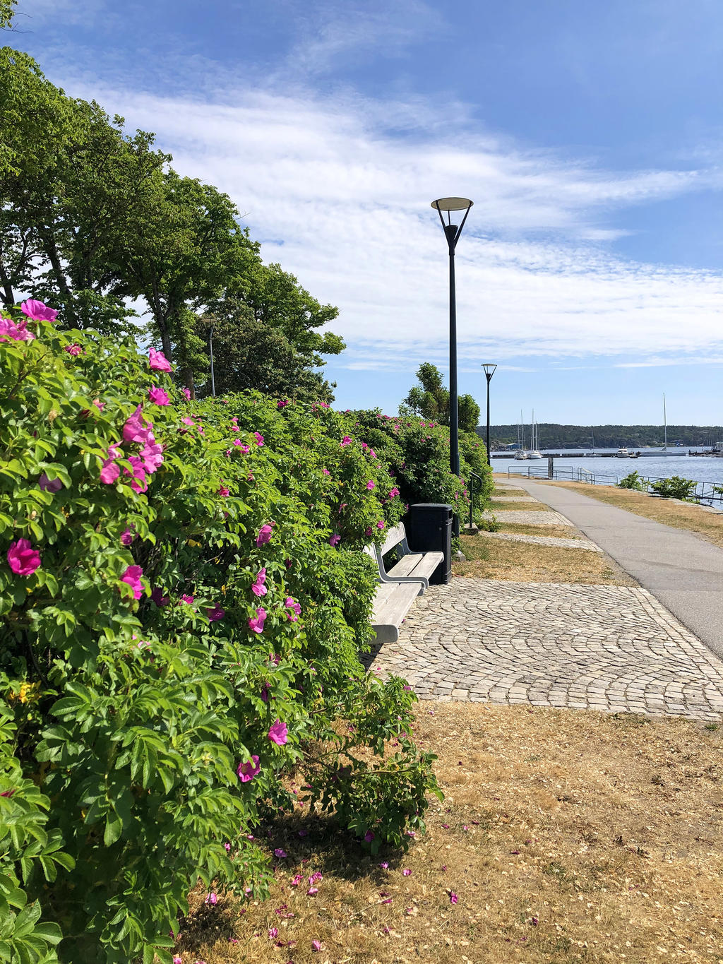 Miljöbild Strömstad.