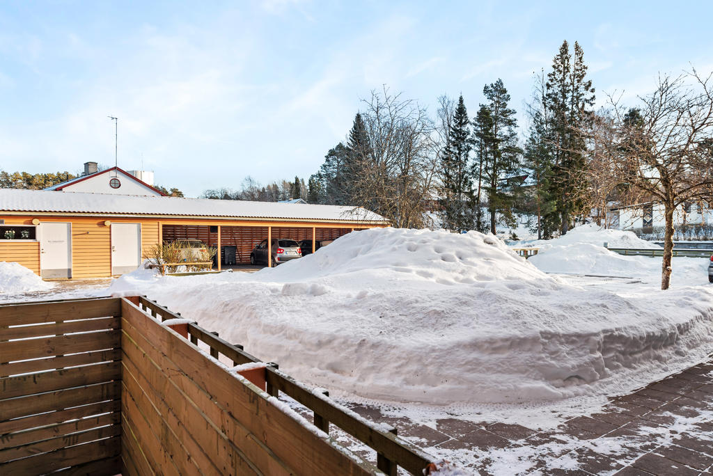 Utsikt över föreningens innergård som sommartid är grönskande. 