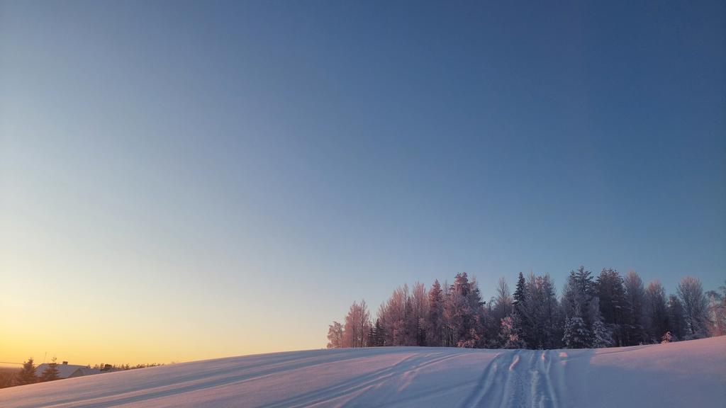 Säljarens egna bild