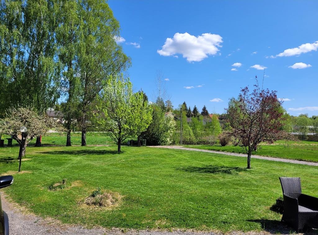 Säljarens sommarbild 