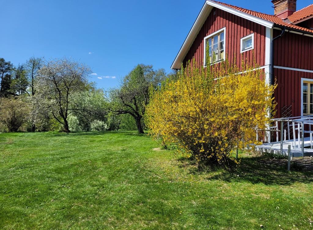 Säljarens sommarbild 