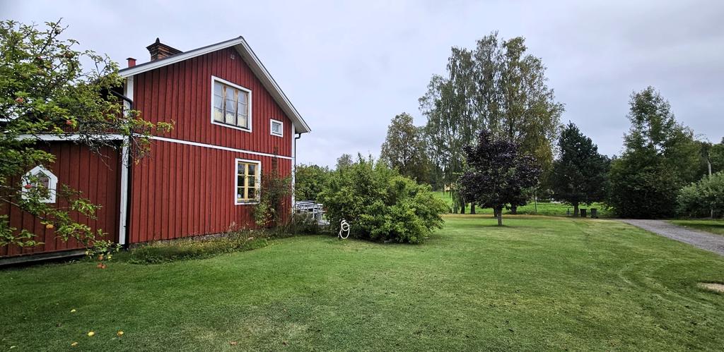 Säljarens sommarbild 