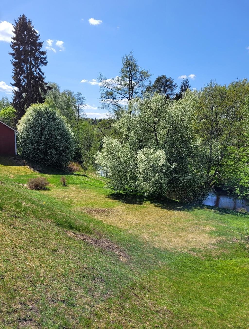 Säljarens sommarbild 