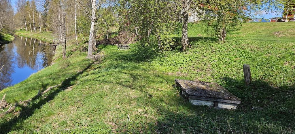 Säljarens sommarbild 