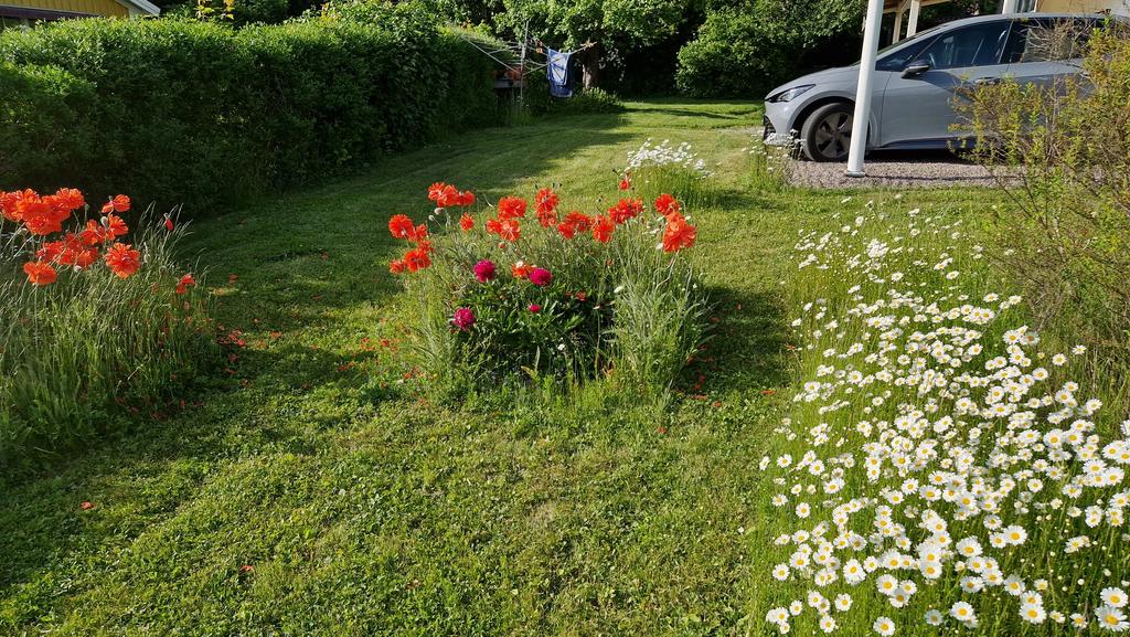 Privat bild
