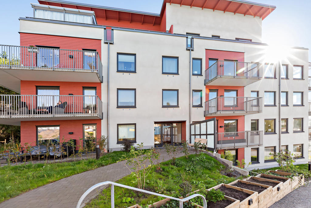 Myntbacken 17 i sommarskrud