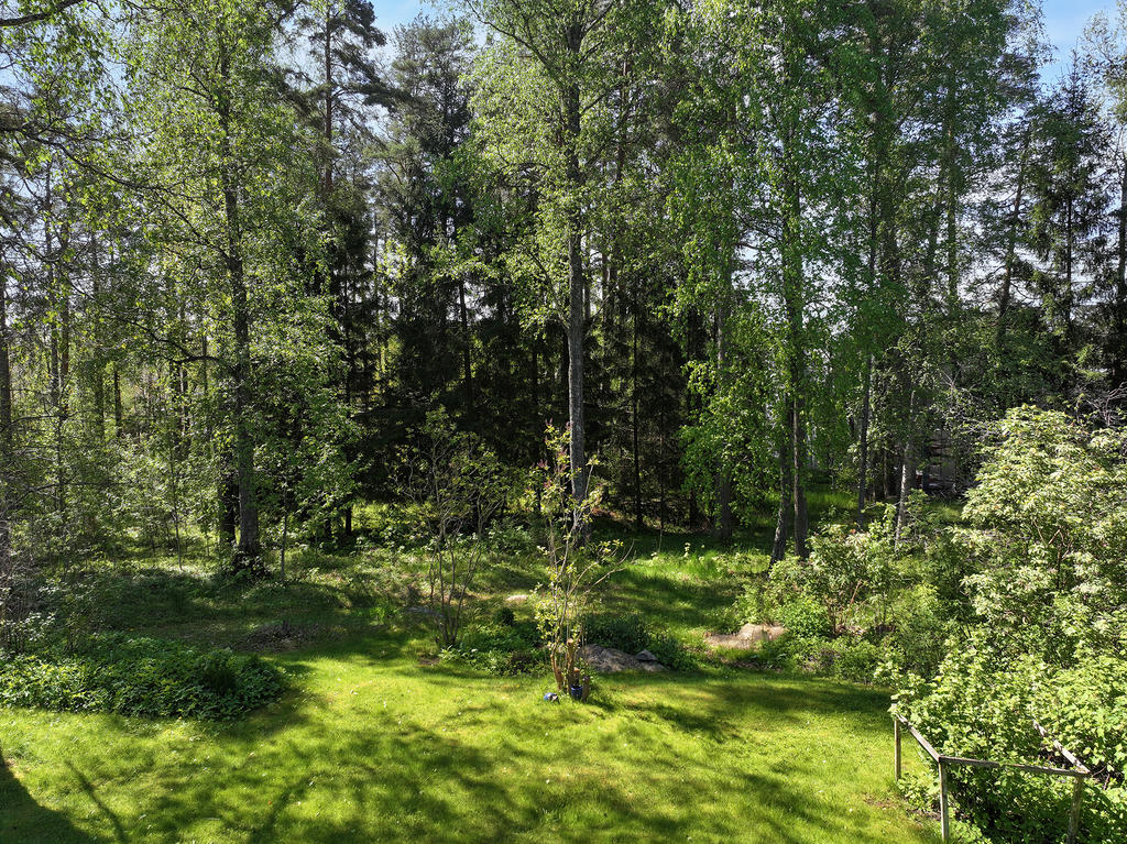 Trädgården mot grönområde