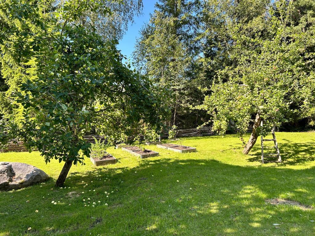 Säljarens egna bild