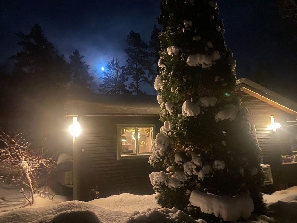 Säljarens egen bild 