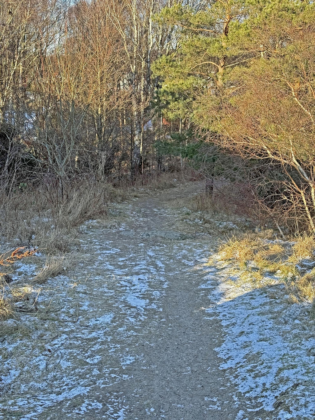 Stig ner till havet 50 meter från tomten