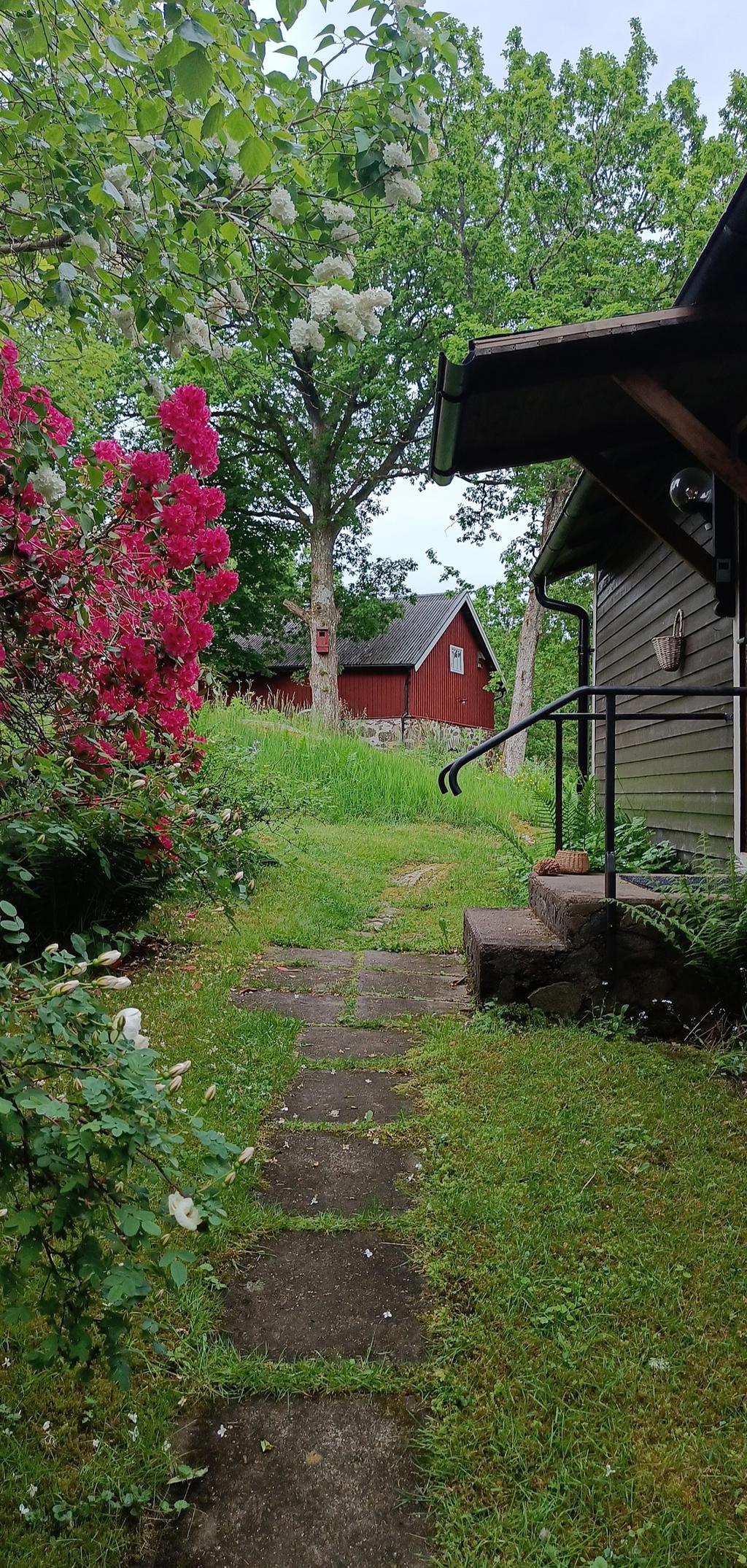 Sommarbilder från säljarna