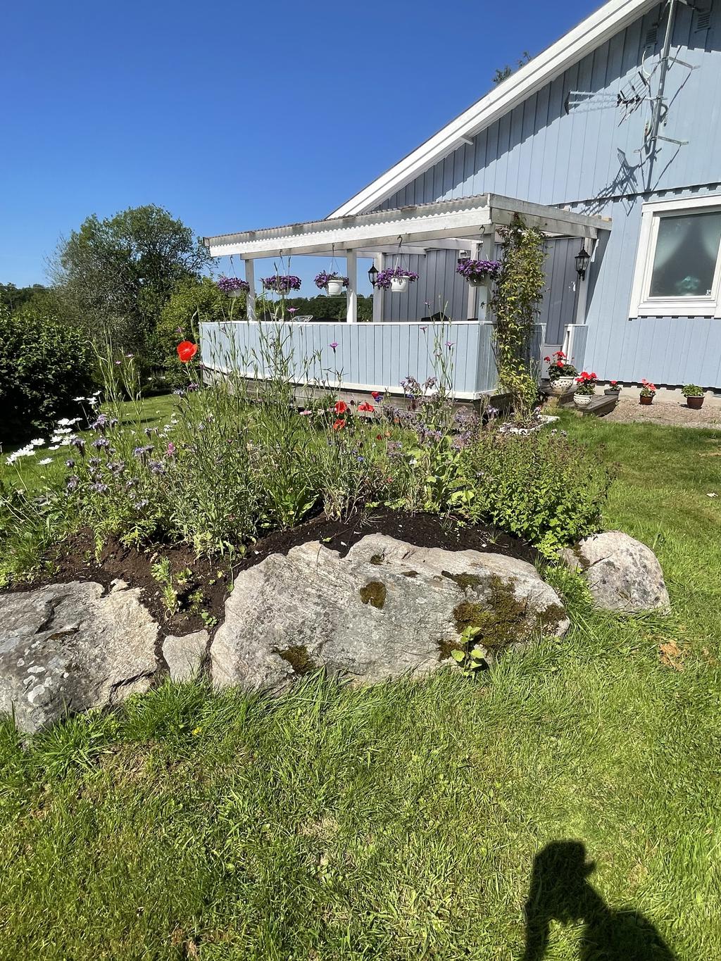 Säljarens egna bild