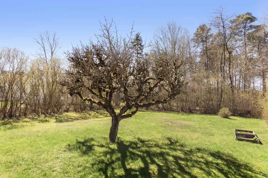 Privat och insynsskyddad baksida med en syrenhäck som skrämar av