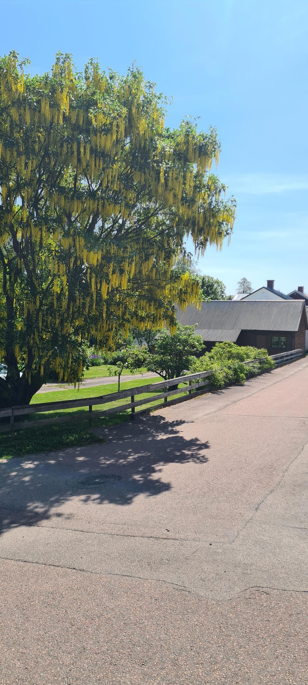 Säljarens sommarbild