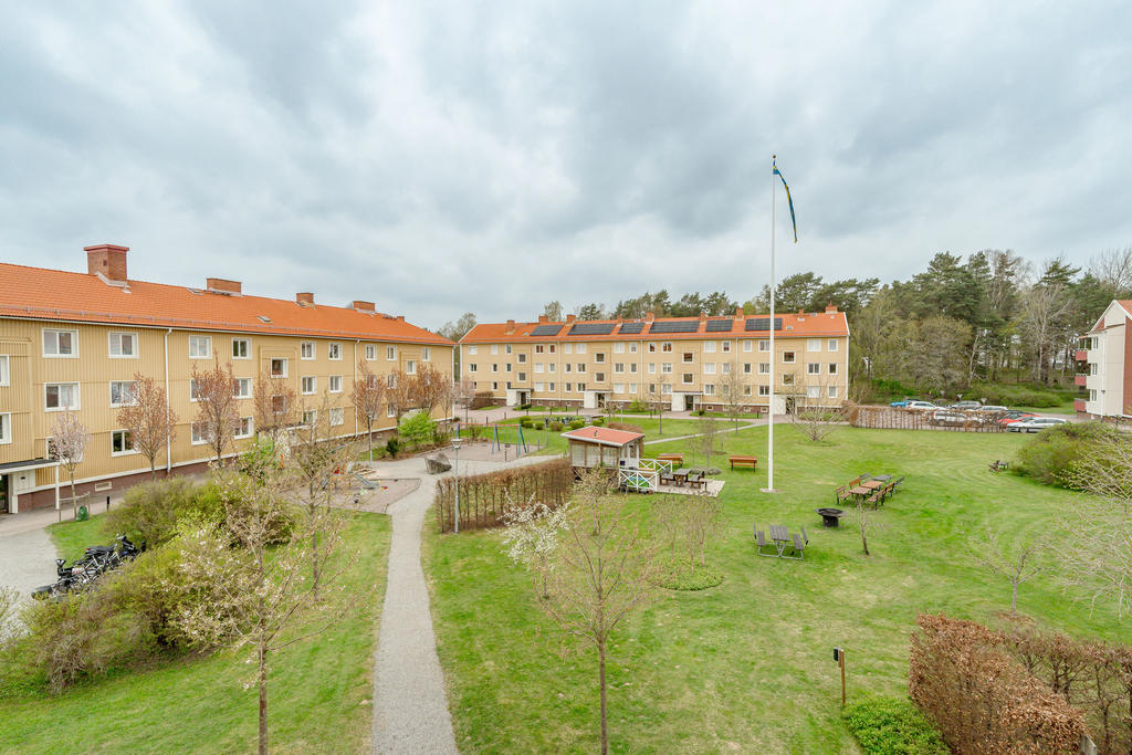 Föreningens innergård