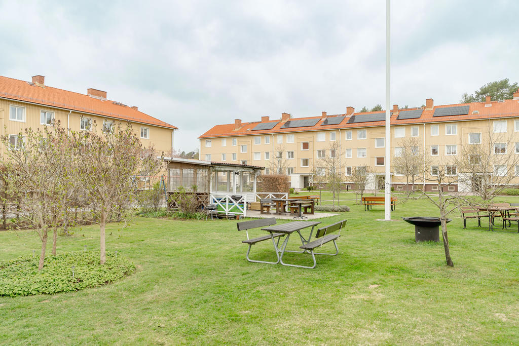 Föreningens innergård