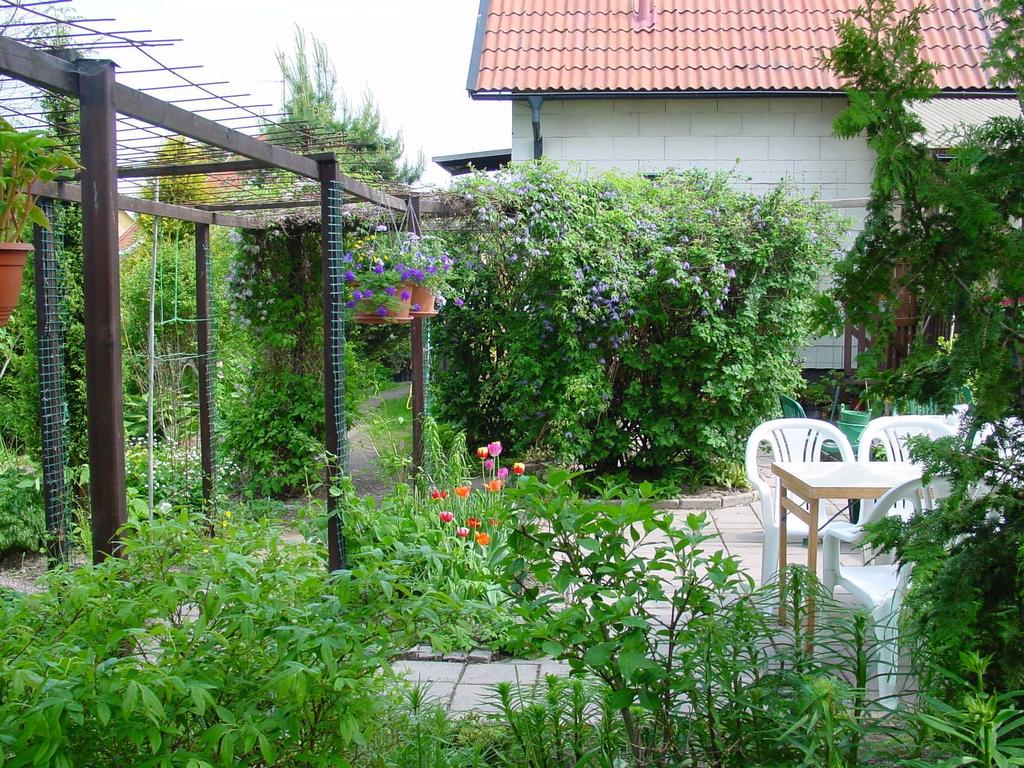 Säljarens egna sommarbilder