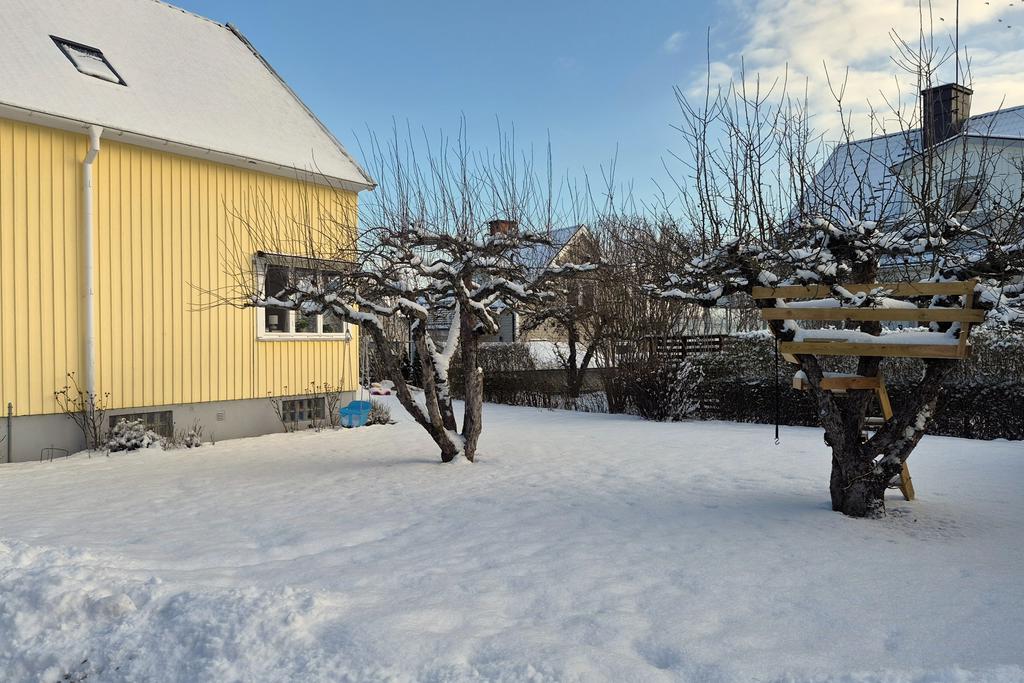 Äppelträd och träkoja på framsidan