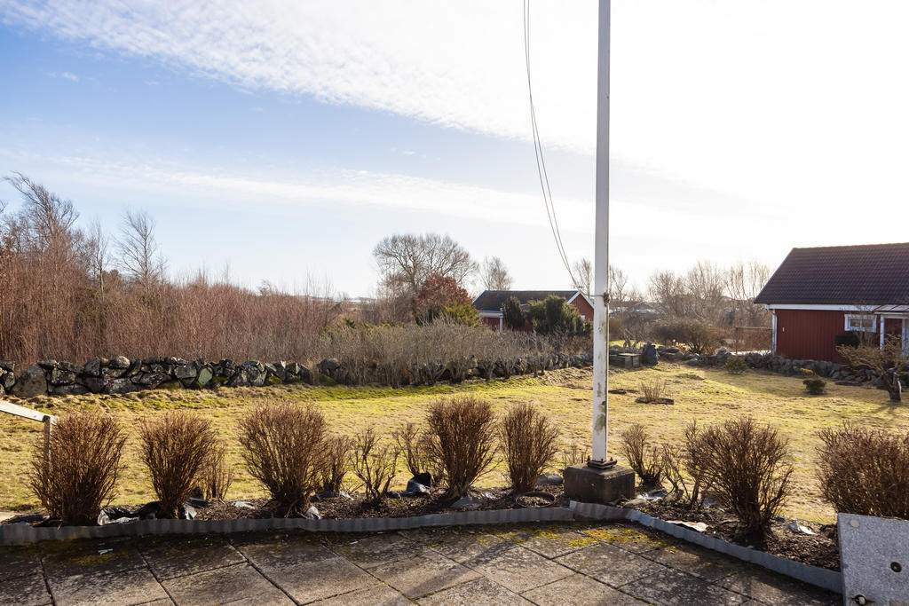 Stor härlig trädgård 