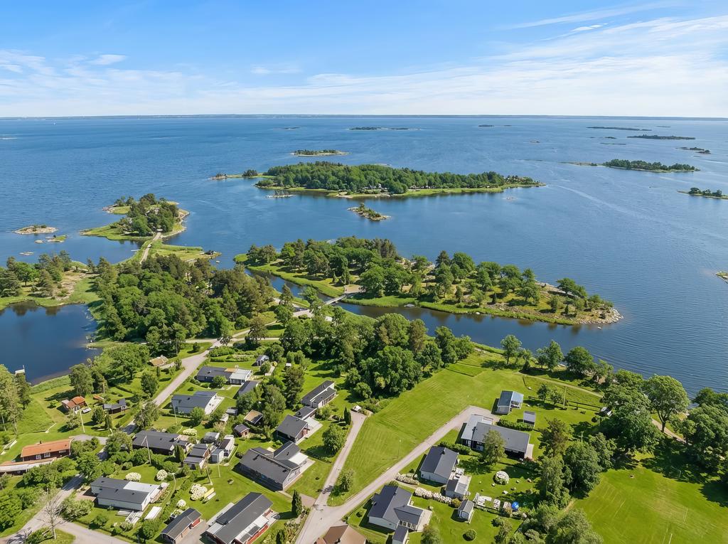 Fågelsudd i högsommarskrud! AI-genererad bild.