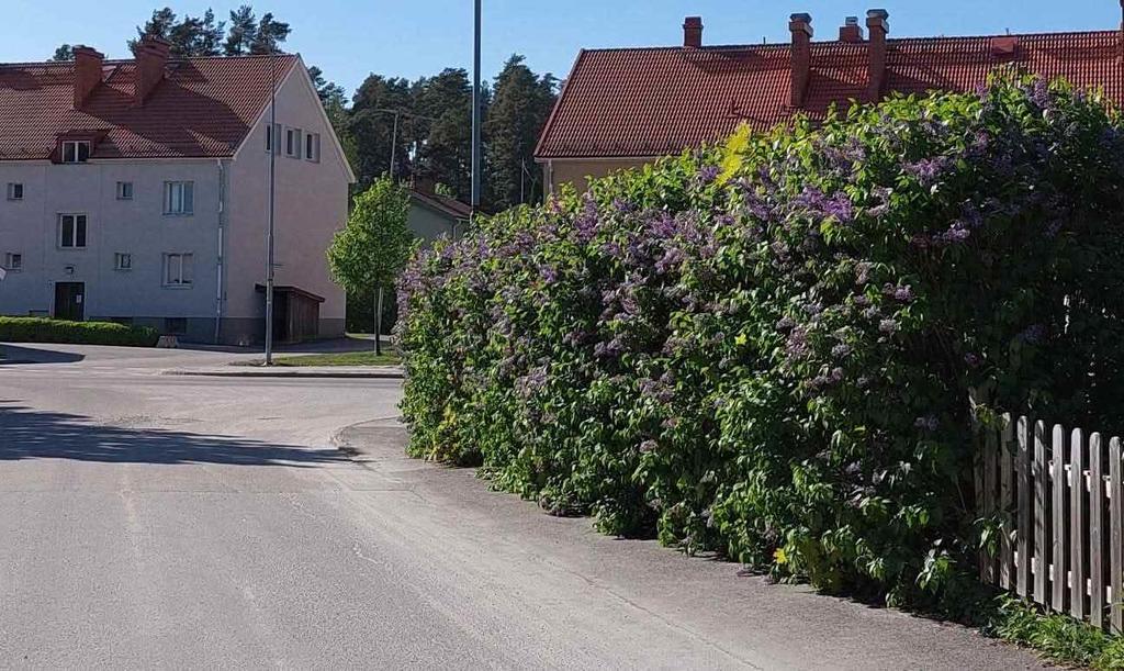 Säljarens egna bild