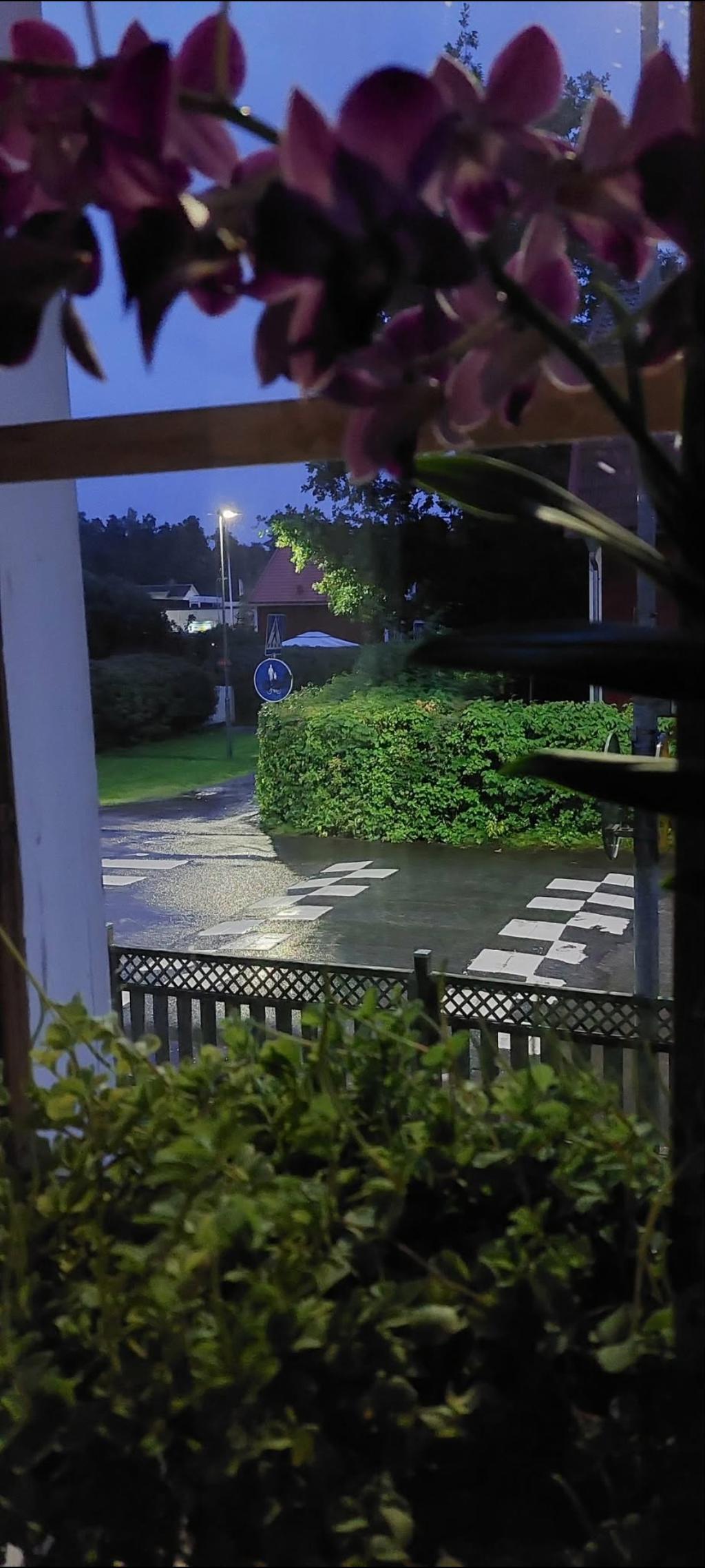 Säljarens egna bild