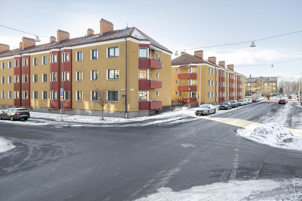 Exteriör
