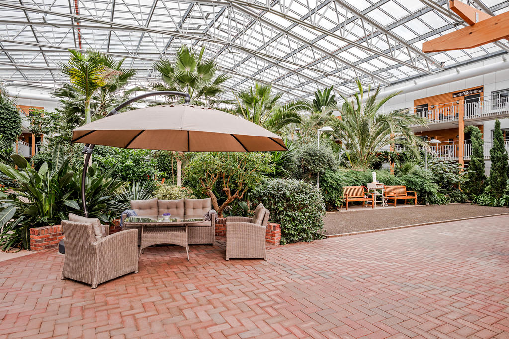 Boulebanan i vinterträdgården