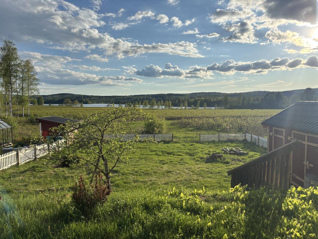 Utsikt över Bysjön!