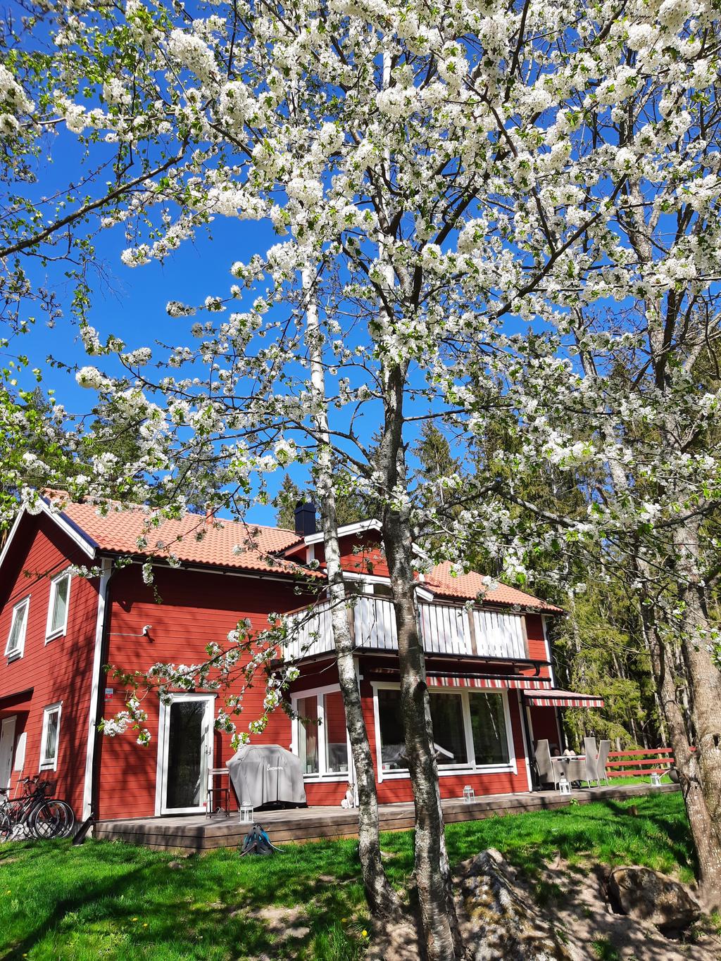 Säljarnas fina bilder...