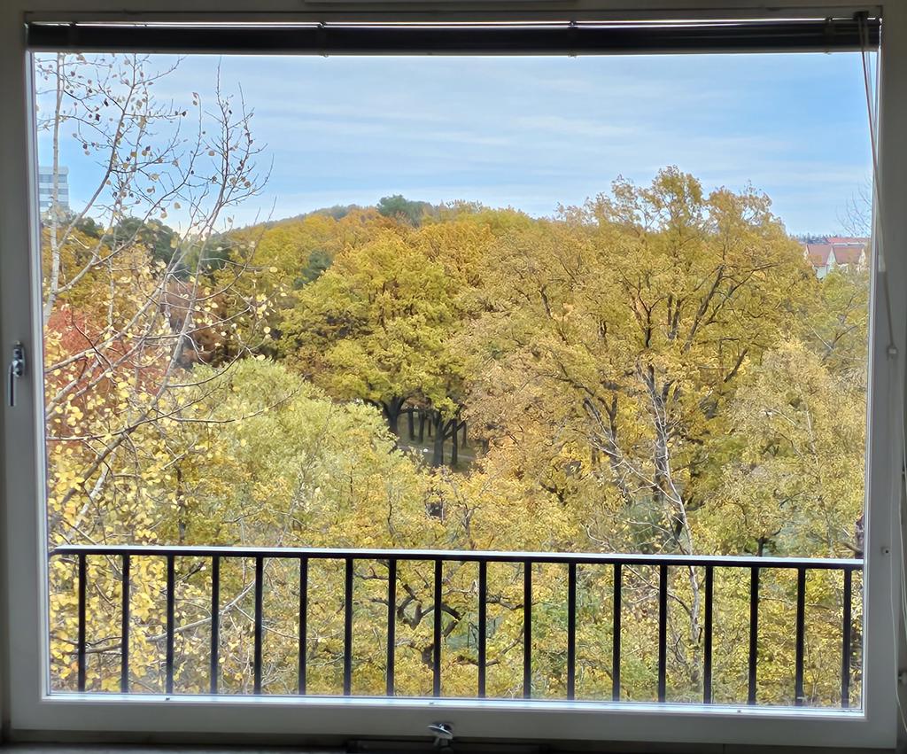 Utsikt från vardagsrum höst