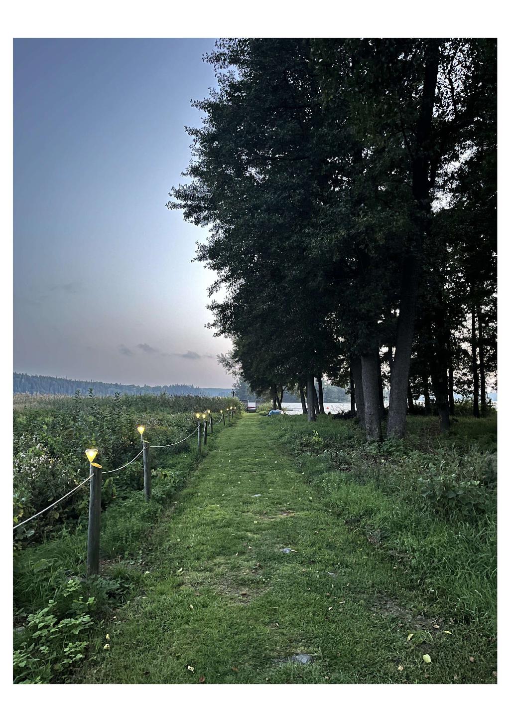 Säljarens bild