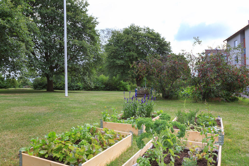 Odlingslådor i föreningen