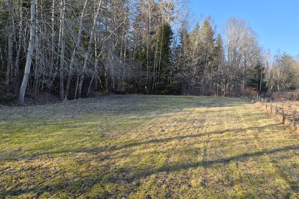 Rymliga gräsytor nedanför huset