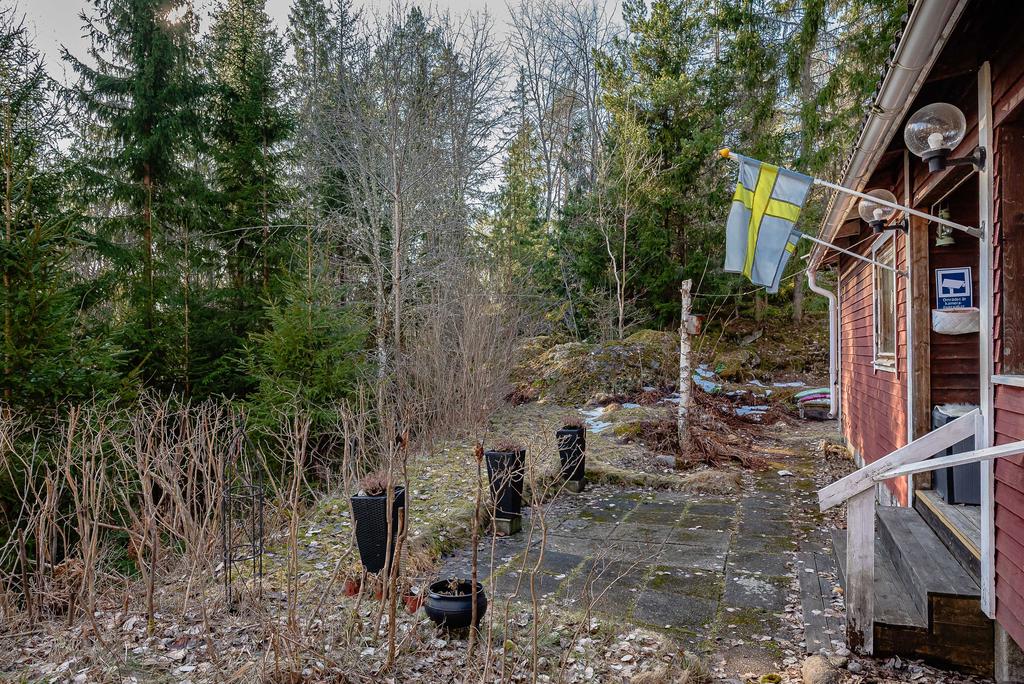 Baksida med insynsskydd av skogsdunge invid