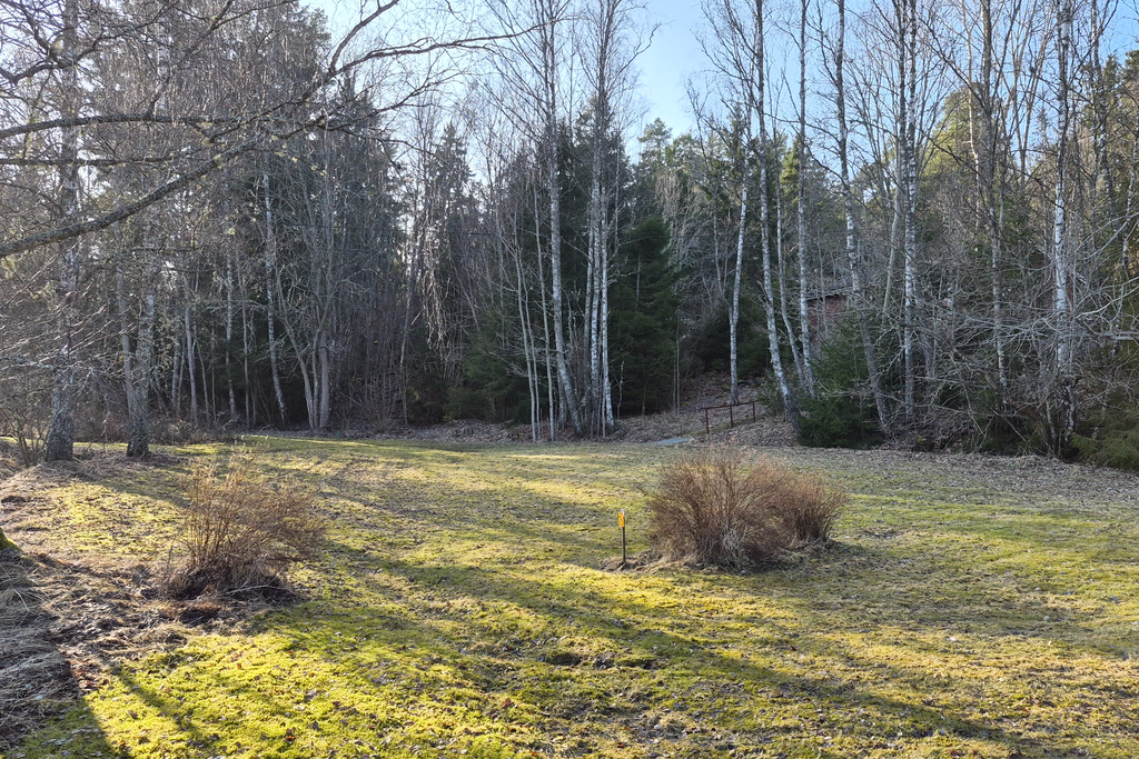 Rymliga gräsytor nedanför huset