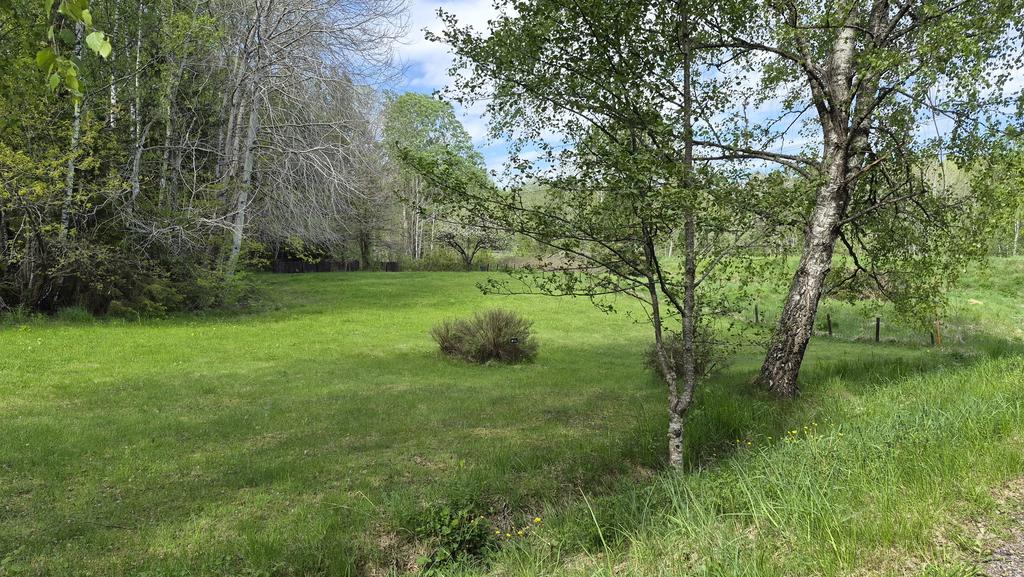 Gräsytan nedanför huset som är en del av tomten