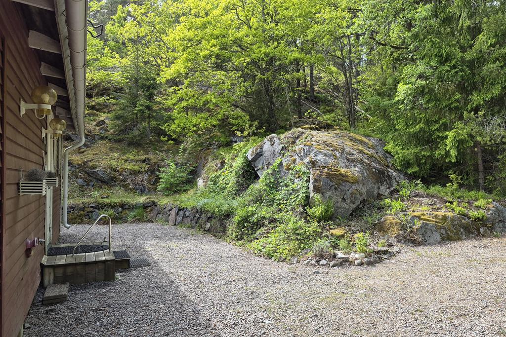 Skogen som närmsta granne!