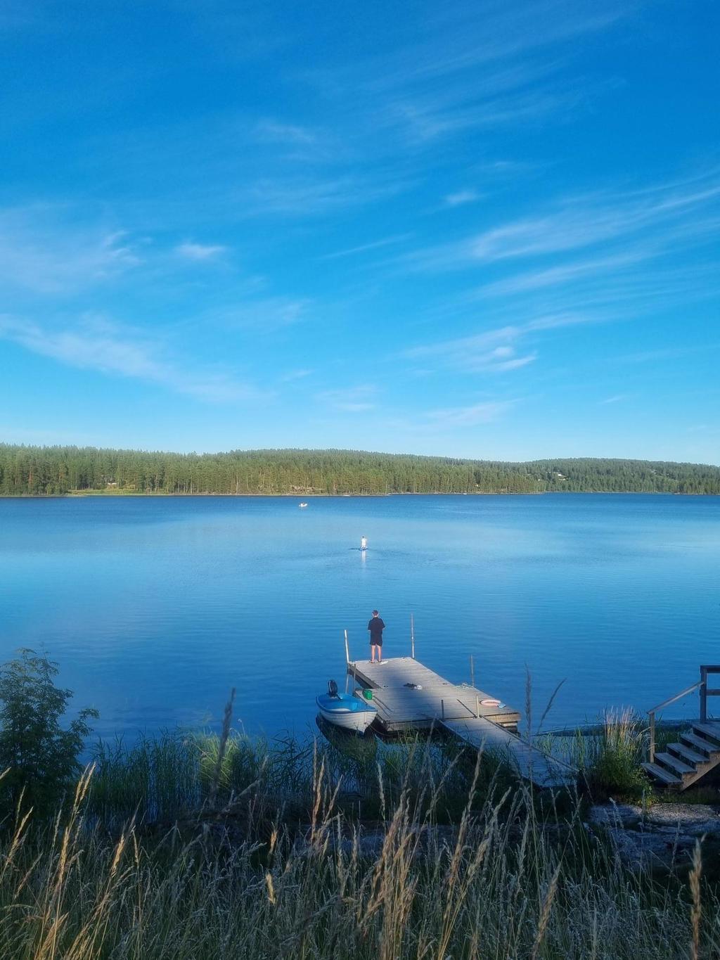 Säljarens egna bild