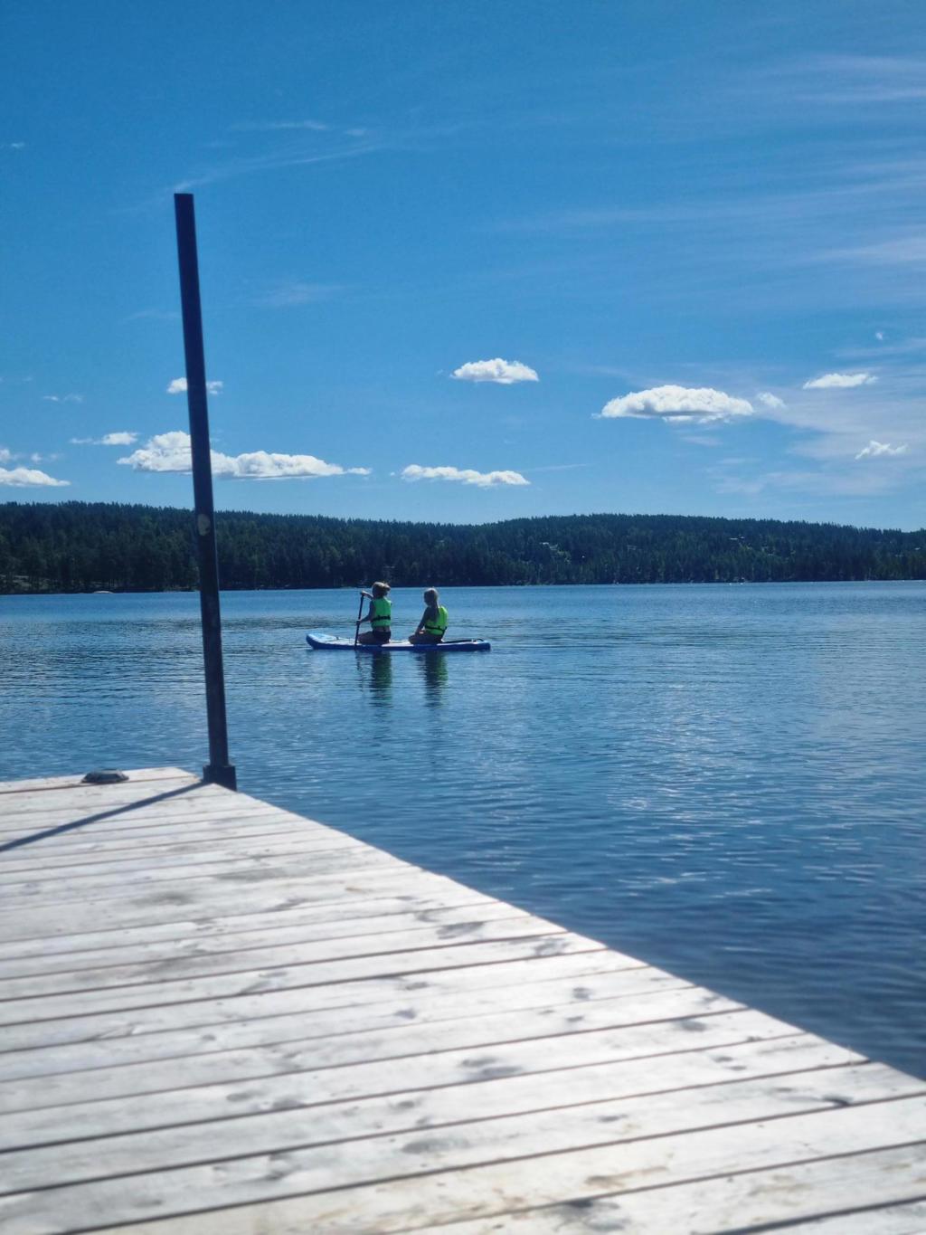 Säljarens egna bild