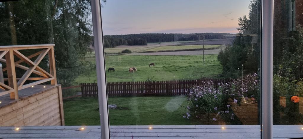 Sommarbild tagen av säljaren