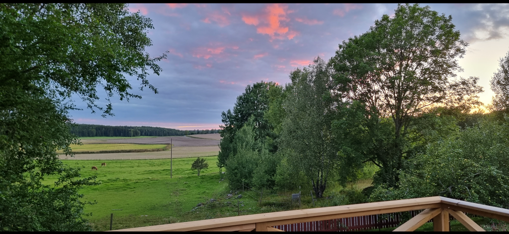 Sommarbild tagen av säljaren