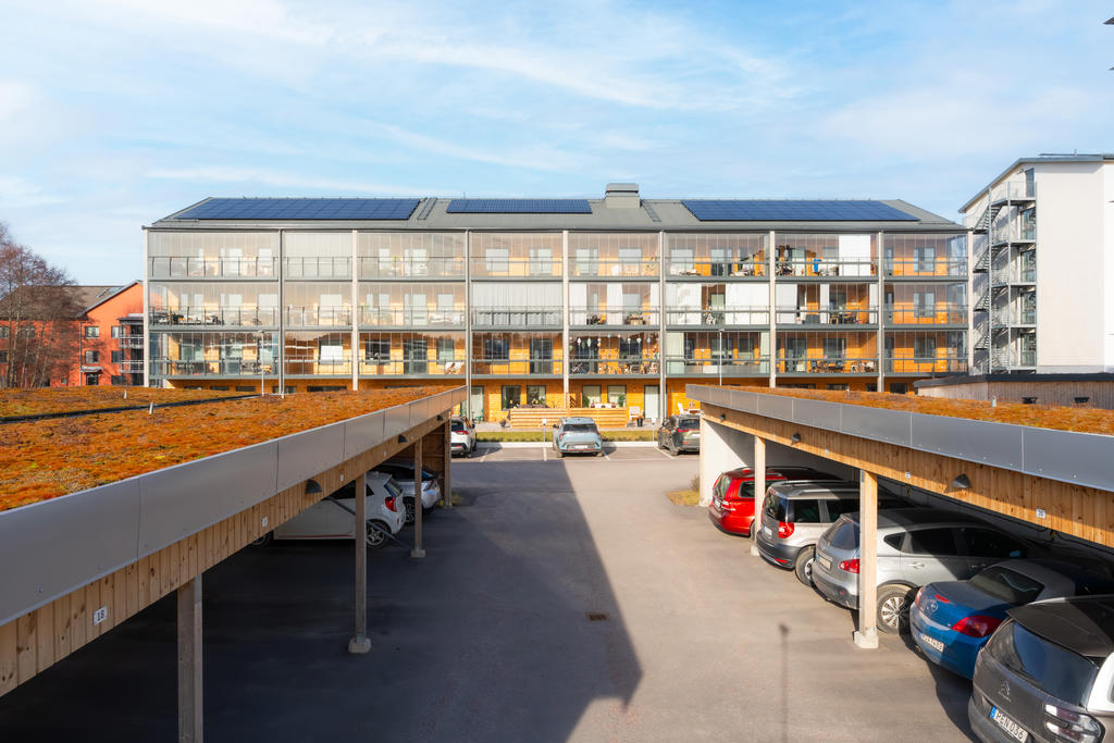 Foto: Erik Hofvander