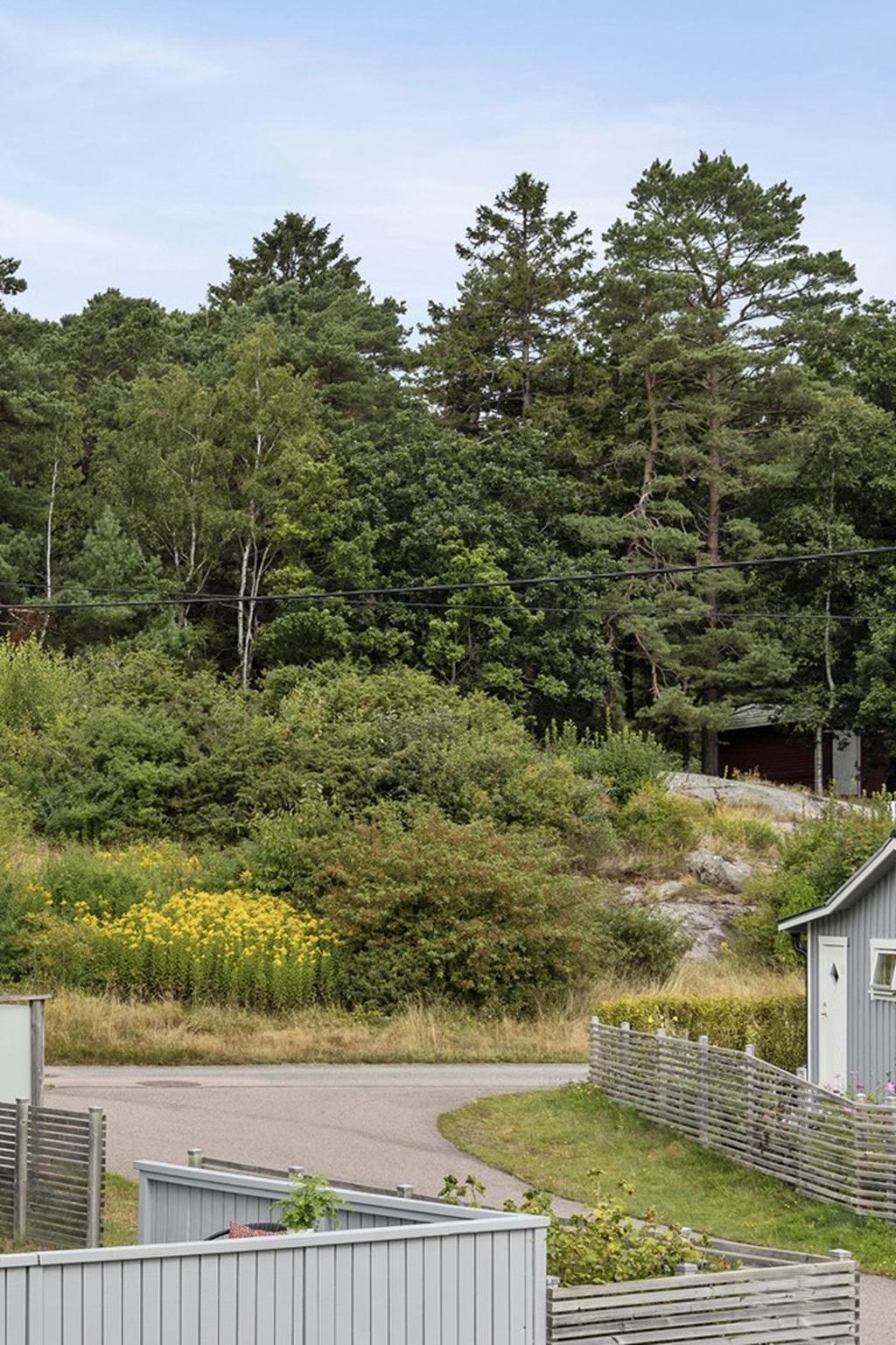 Skogspartiet vid stugan ger närhet till fin natur och promenader