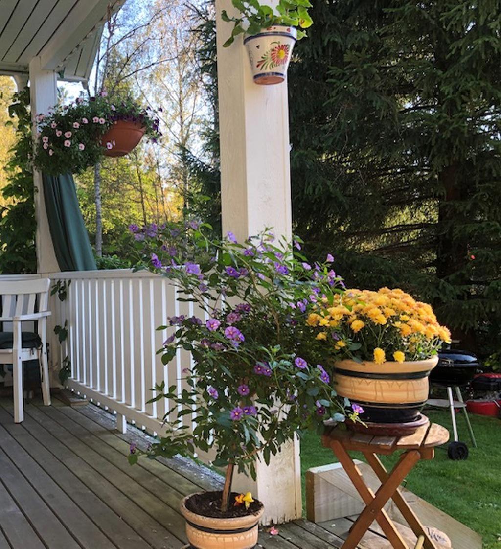 Säljarnas egna bild