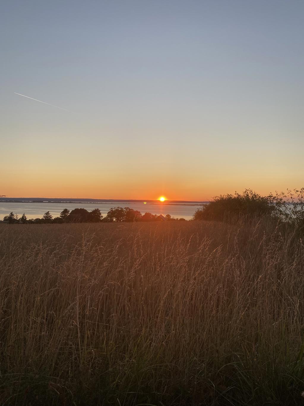 Säljarens sommarbild