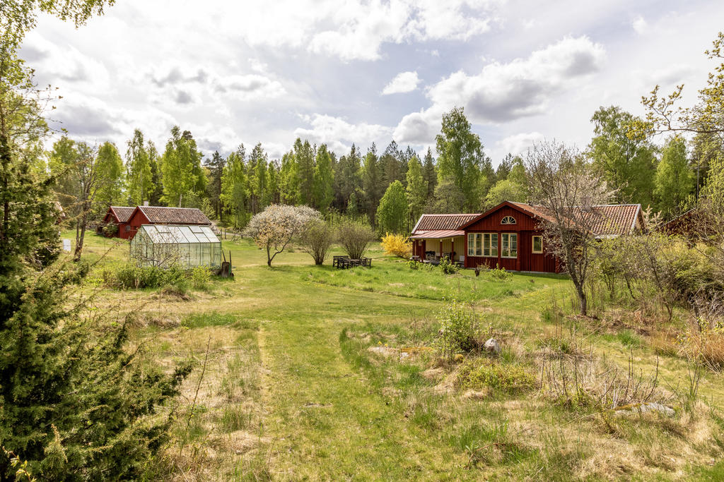 Utsikt över trädgården från grillplatsen